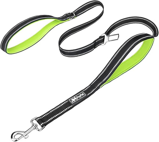 PoyPet 5 Feet Dog Leash