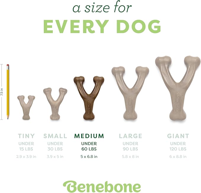 Benebone Wishbone Durable Dog Chew Toy