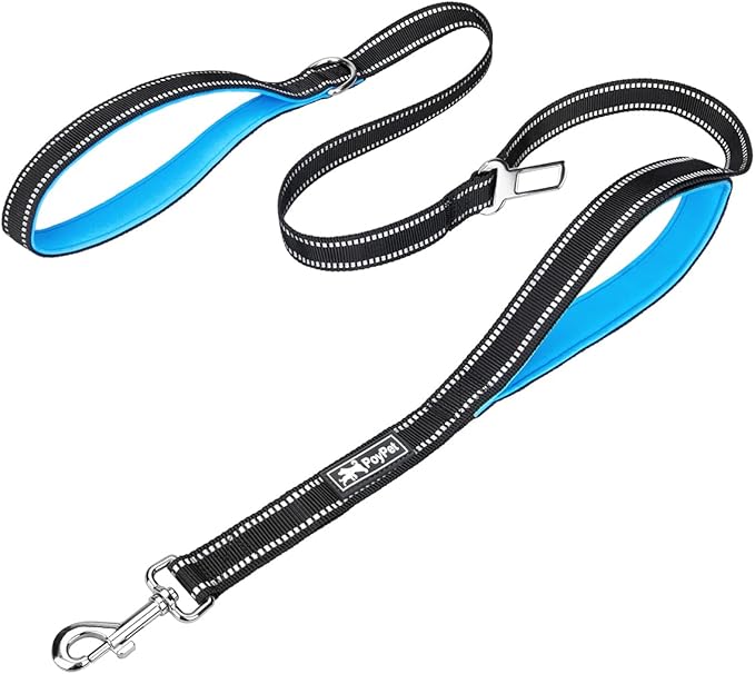 PoyPet 5 Feet Dog Leash