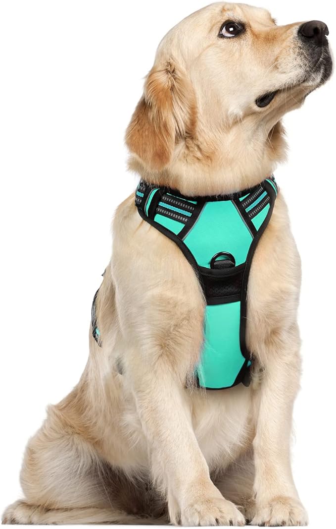 Dog Harness