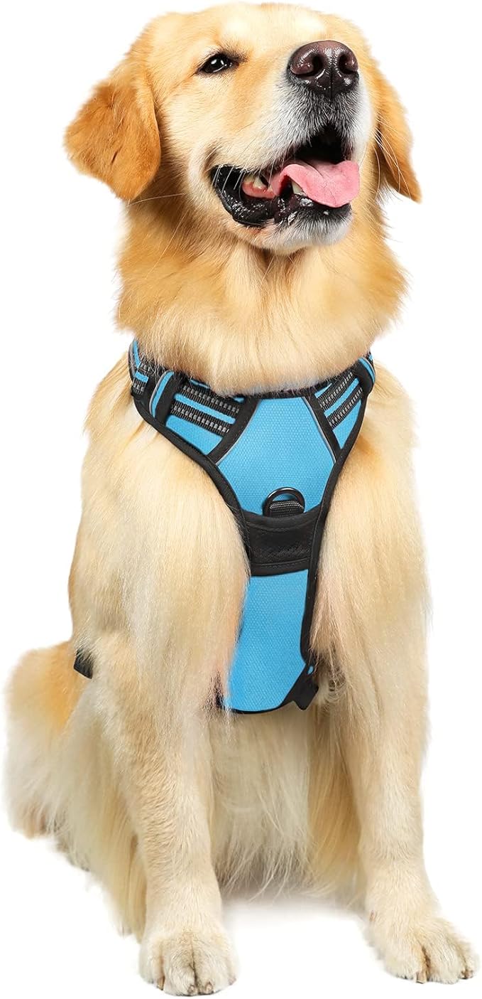 Dog Harness