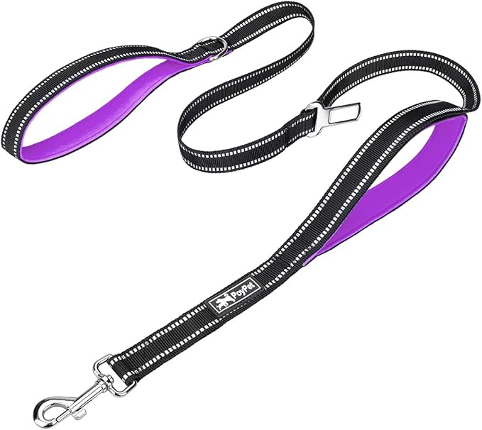 PoyPet 5 Feet Dog Leash