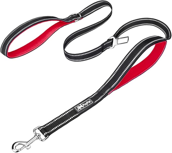 PoyPet 5 Feet Dog Leash