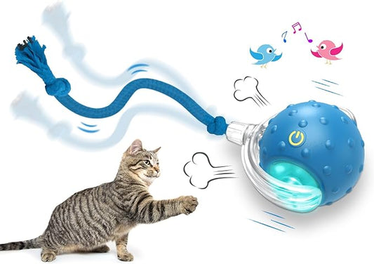 Chirping & Motion Activate Cat Toys