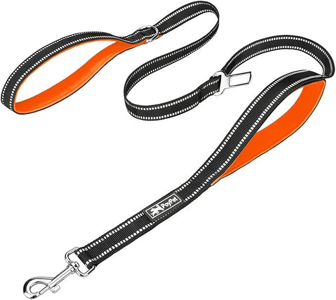 PoyPet 5 Feet Dog Leash