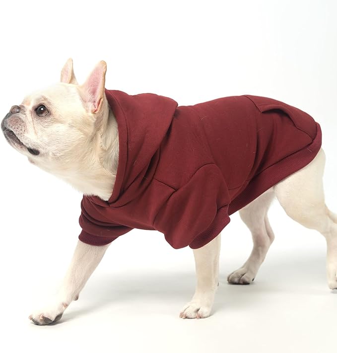 KOOLTAIL Basic Dog Hoodie