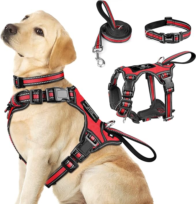 WINSEE Pet Harness Collar and Leash Set