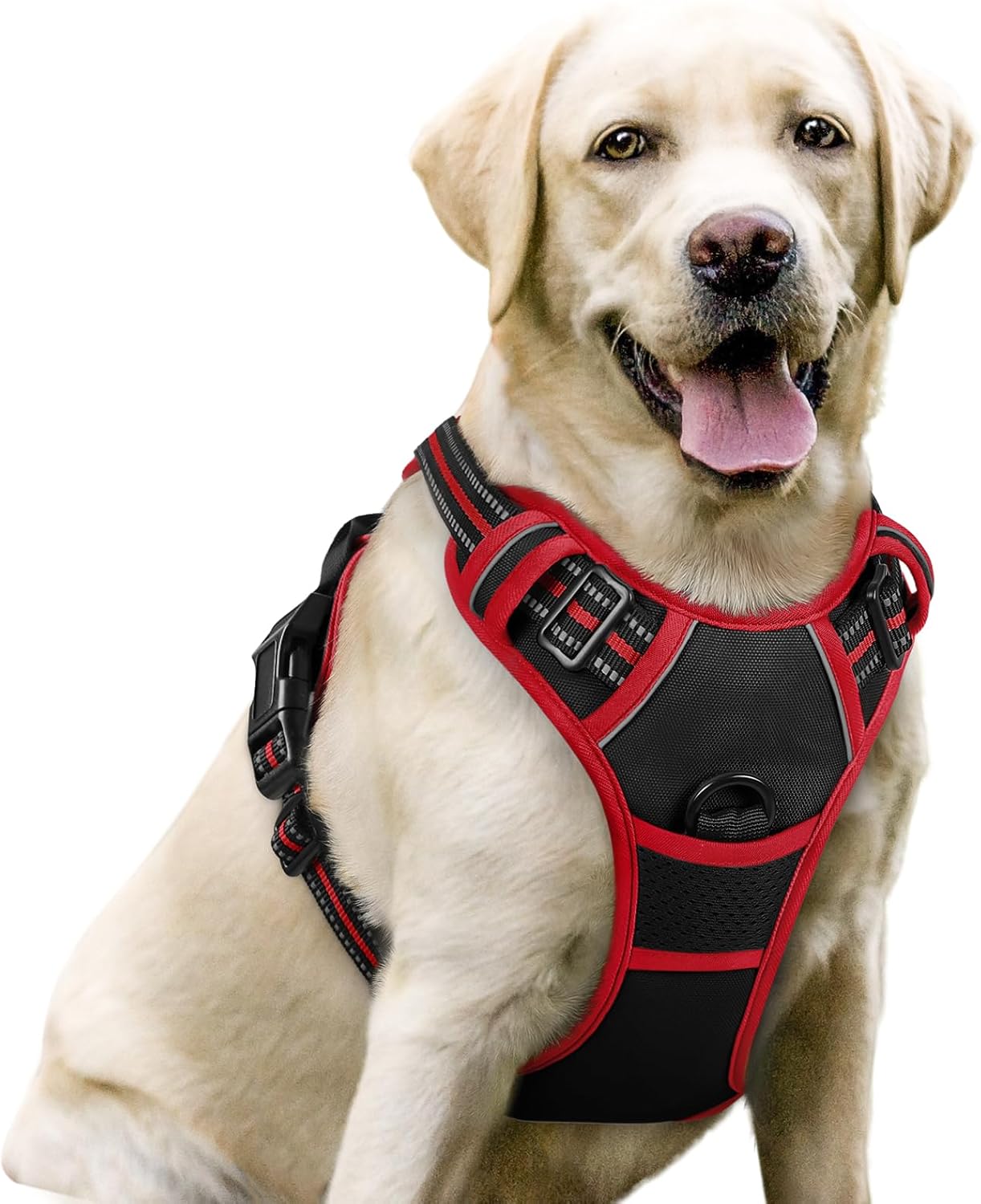 Dog Harness