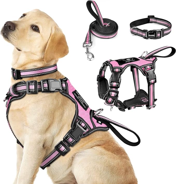 WINSEE Pet Harness Collar and Leash Set