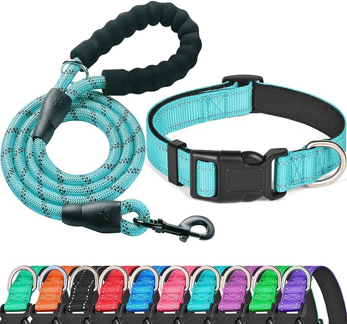 Reflective Dog Collar Padded with Soft Neoprene