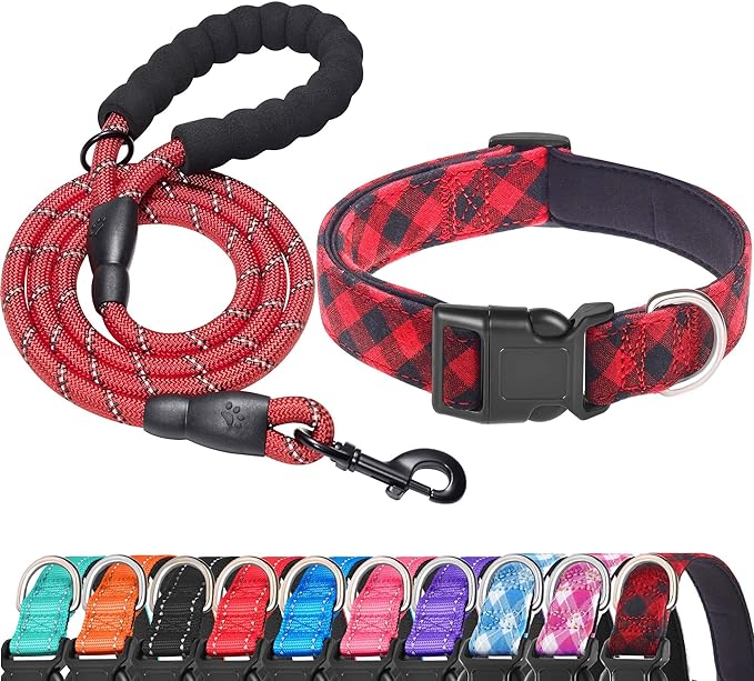 Reflective Dog Collar Padded with Soft Neoprene