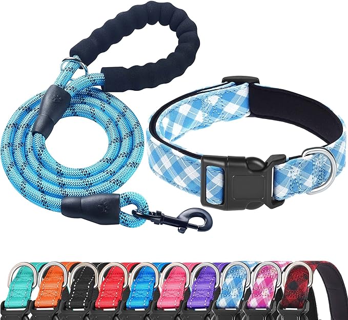 Reflective Dog Collar Padded with Soft Neoprene