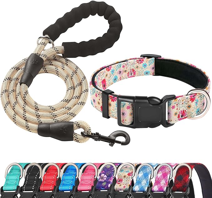 Reflective Dog Collar Padded with Soft Neoprene