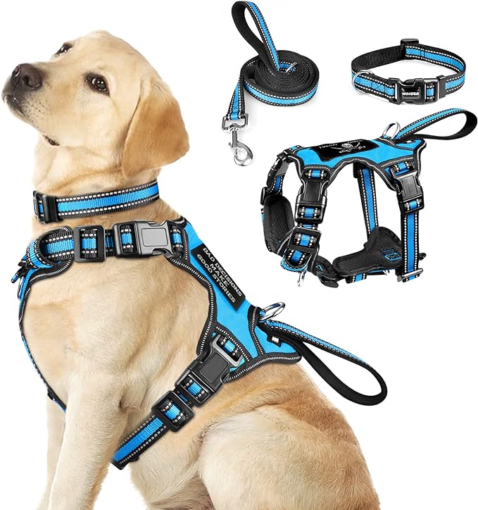 WINSEE Pet Harness Collar and Leash Set