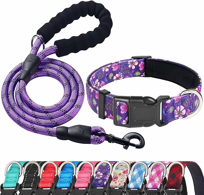 Reflective Dog Collar Padded with Soft Neoprene